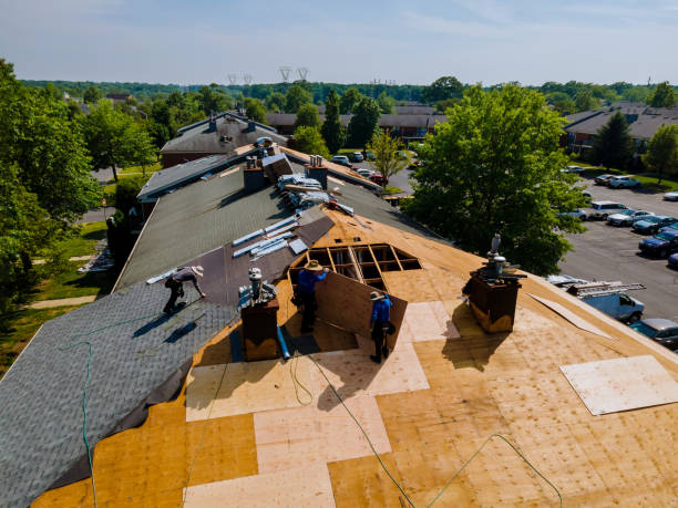 Best Roof Restoration Services  in Tyro, NC
