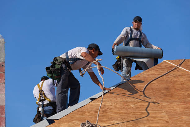 Best Best Roofing Contractors  in Tyro, NC