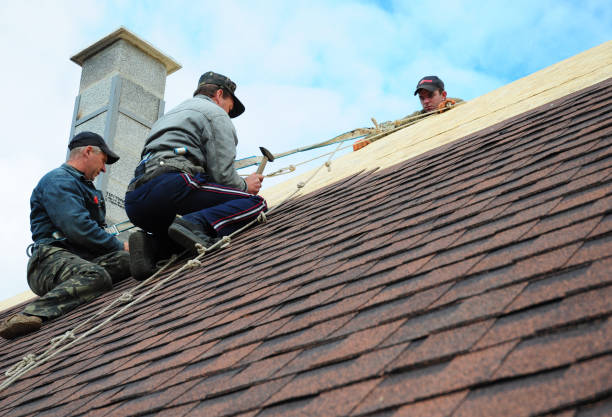 Best Local Roofing Companies  in Tyro, NC